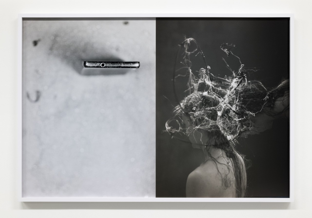 Josephine Pryde, Instruments / Dilemmas I, 2023