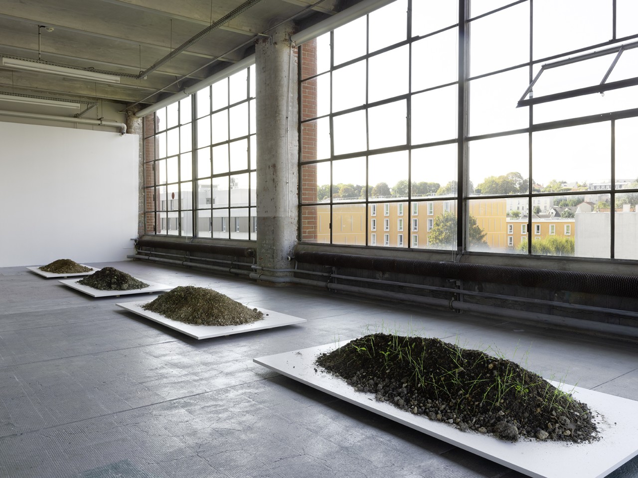 Shimabuku, Ivry Earth, Water and Sunlight (Terre d’Ivry, eau et lumière), 2018