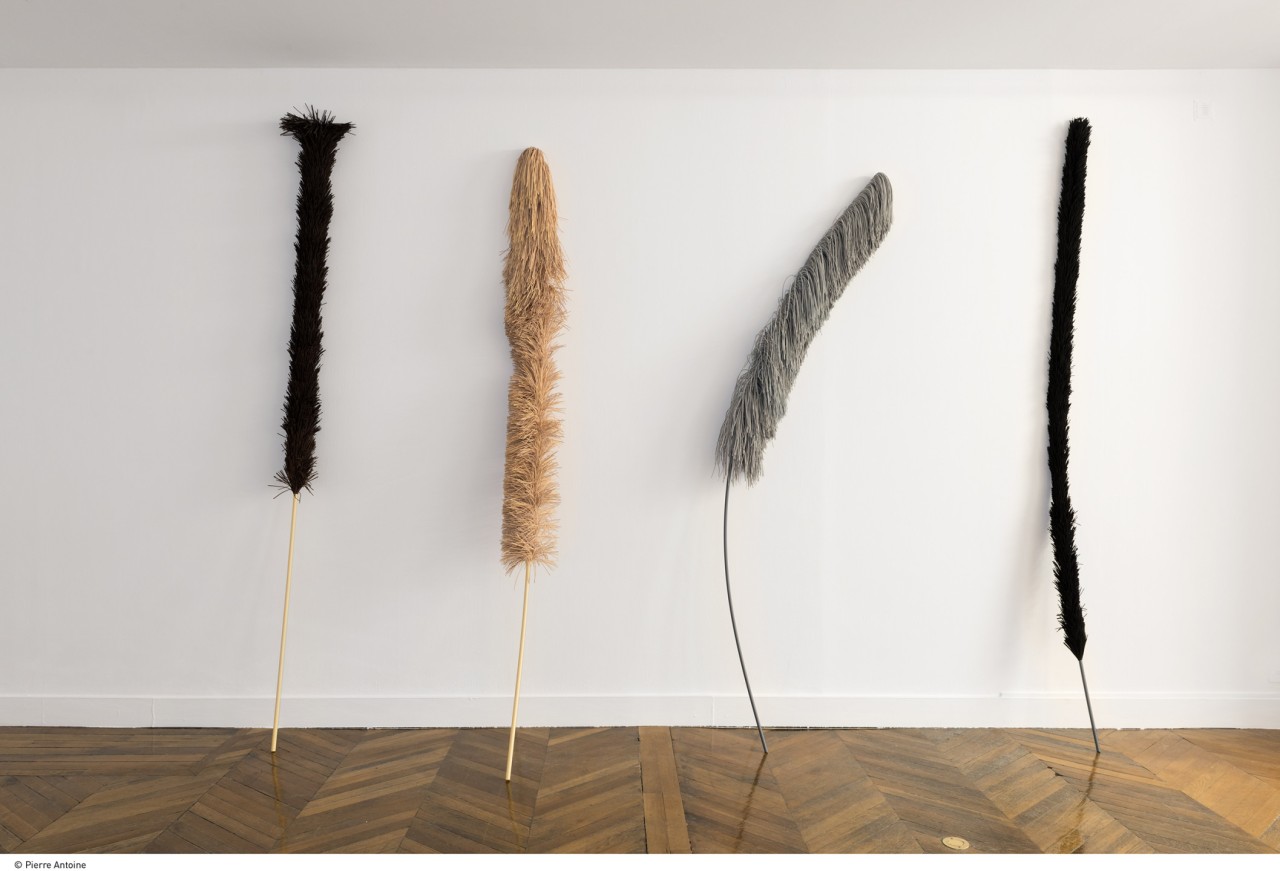 Hedwig Houben, Josephine, Amigo, Flash Noir, PopCorn, Palm Beach et Michka, 2017