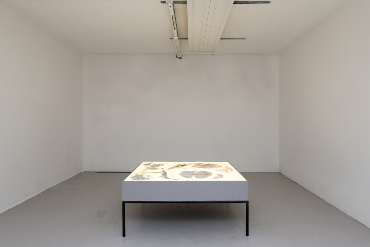 La table lumineuse vient de l’envie de confronter la cire et la terre à différents états (liquide, solide, molle, biscuitée). La source lumineuse qui est diffusée par en dessous permet de rendre visibles les nombreuses informations découlant de l’interaction entre ces deux matériaux.