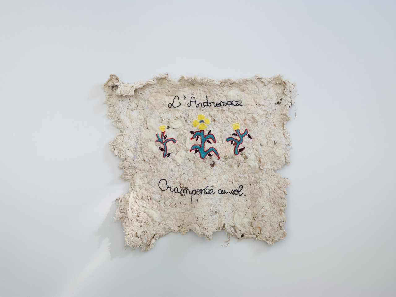 Radouan Zeghidour, L’androsace cramponnée au sol, 2024