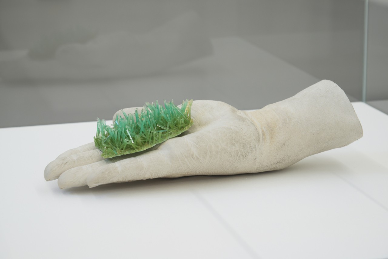Evariste Richer, L’herbe, 2019