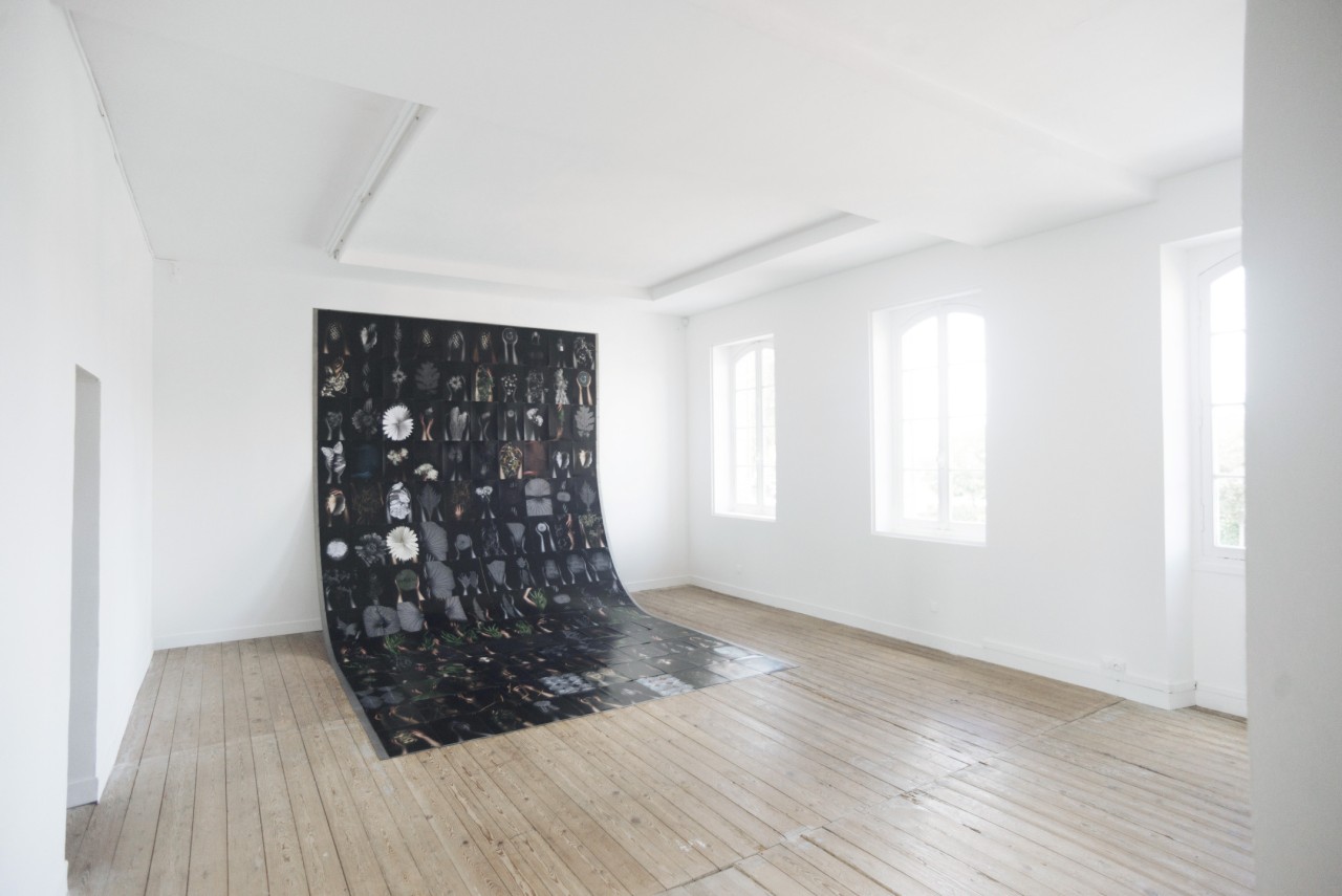 Marie Denis, L’herbier estampe, 2019