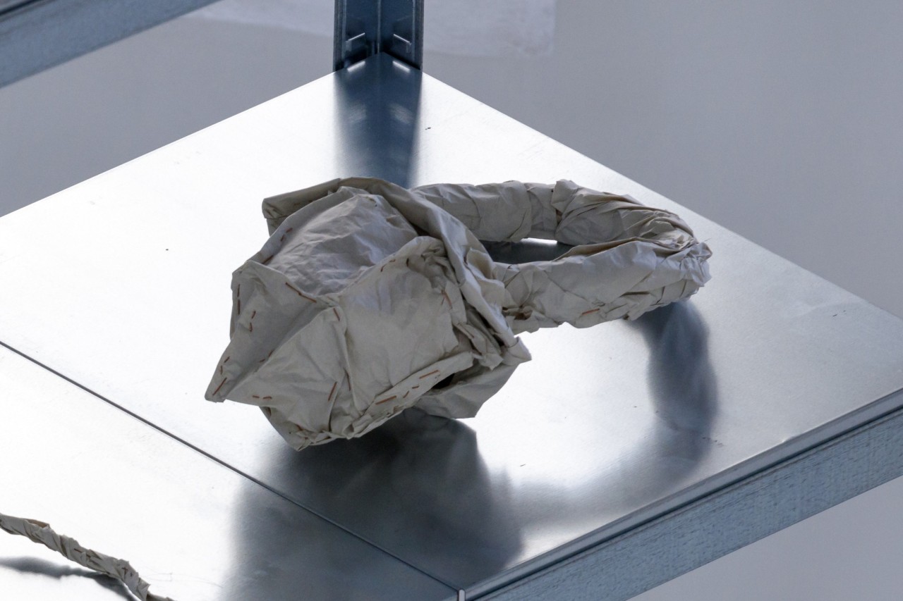 Patrik Pion, La Bague, 2021