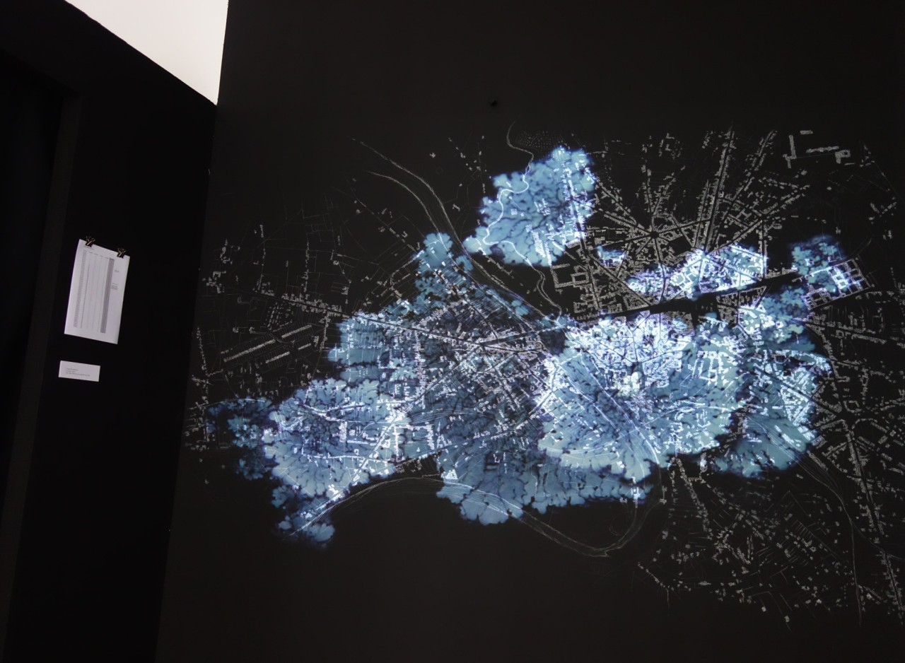 Cristina Ferrández Box, La ciudad liquen, 2018