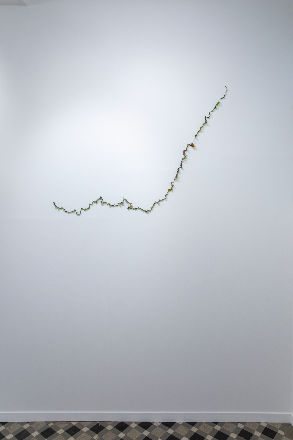 Bijari, La Ligne qui nous divise, 2019