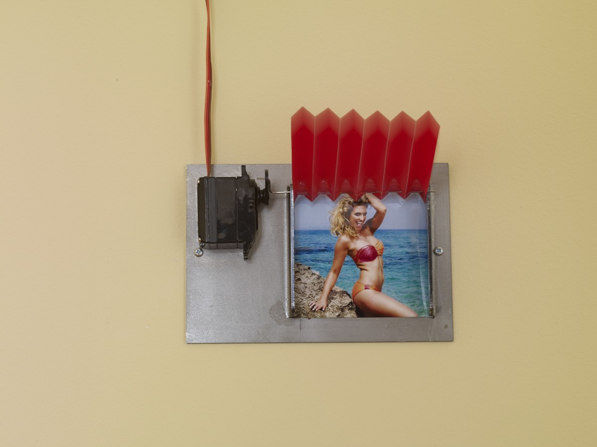 Bertille Bak, La marée mise à nu par ses célibataires, 2014