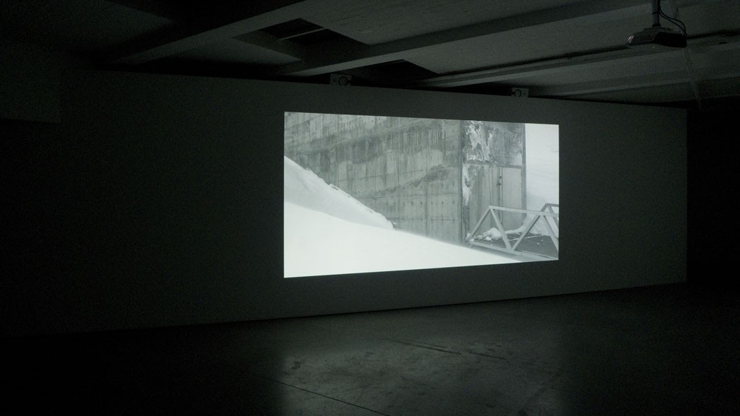 Fabien Giraud, Raphaël Siboni, La mesure végétale, 2015