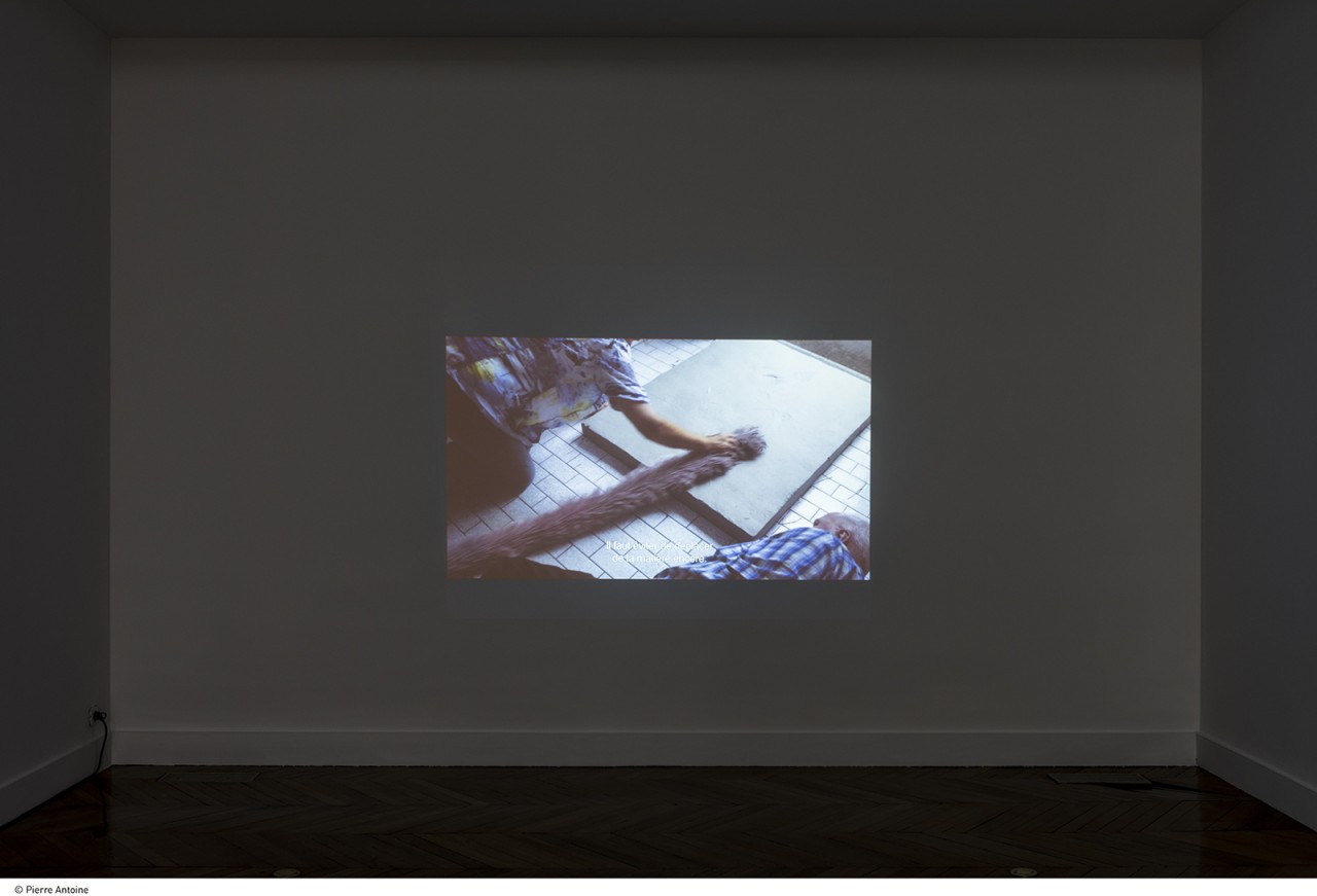 Hedwig Houben, La Noble Dame et le Glaïeul, 2017
