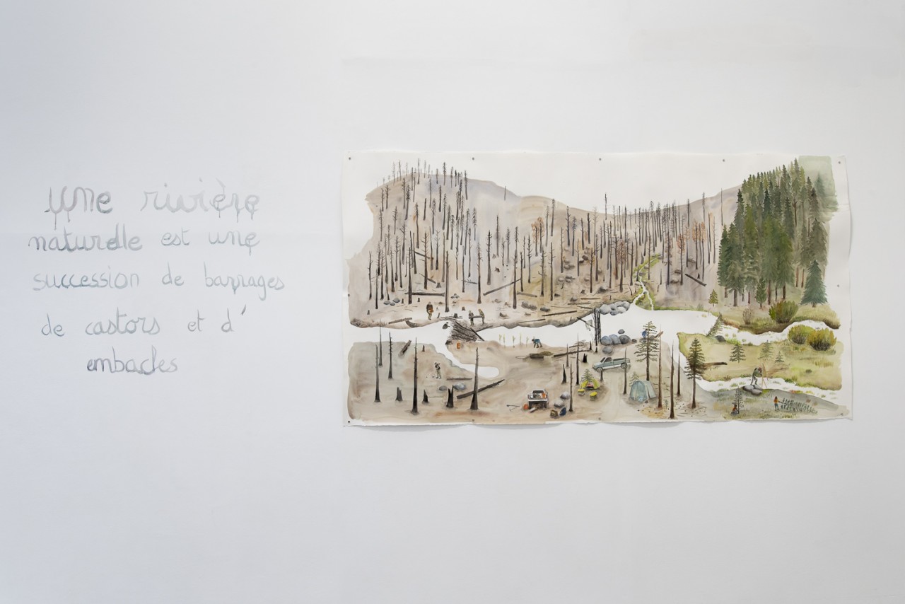 Suzanne Husky, La Parabole du Bièvre, construction de barrage castor mimétique, 2023