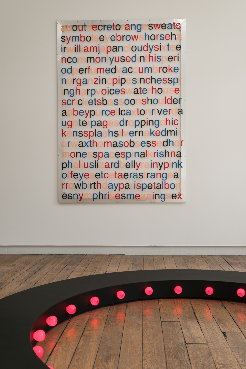 Marcel Devillers, La peau (miroir et mots), 2024