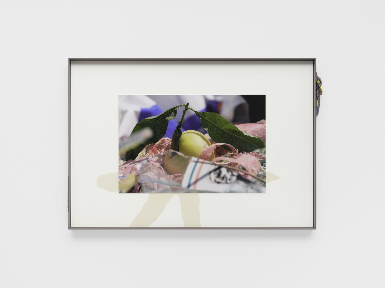 Magali Reus, Landings (1351.7, Melba), 2022