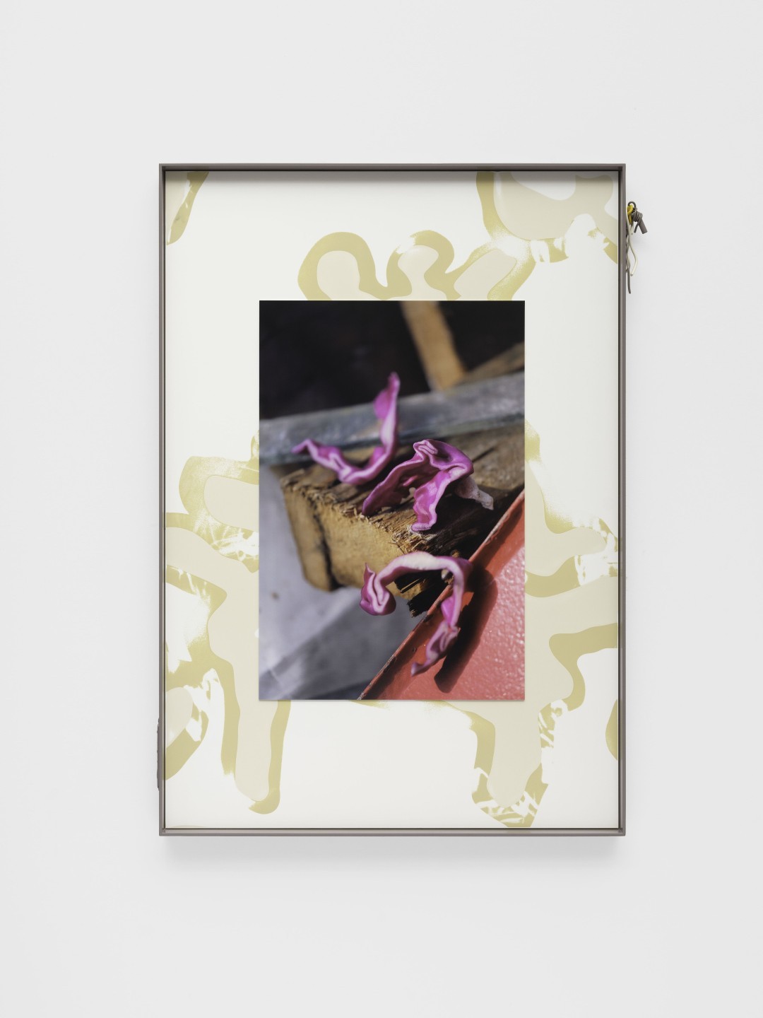 Magali Reus, Landings (January, Anchor), 2022
