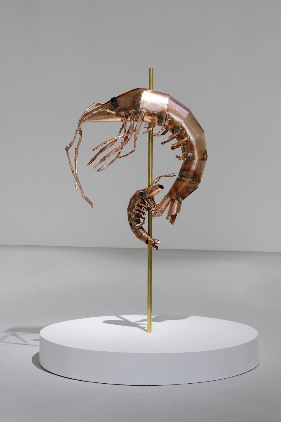 Caroline Mesquita, Le festin (la crevette), 2020