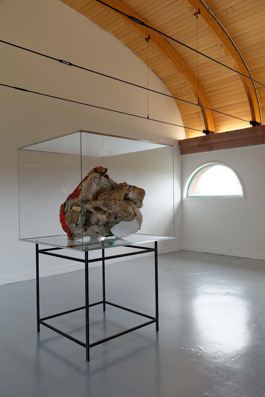 Peter Buggenhout, Le Mont Ventoux #10, 2014