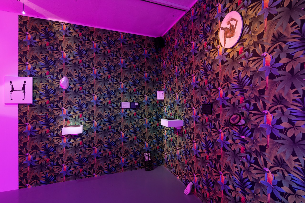 Camille Franch Guerra, Evan Bourgeau, Le mouvement du rêve, 2017