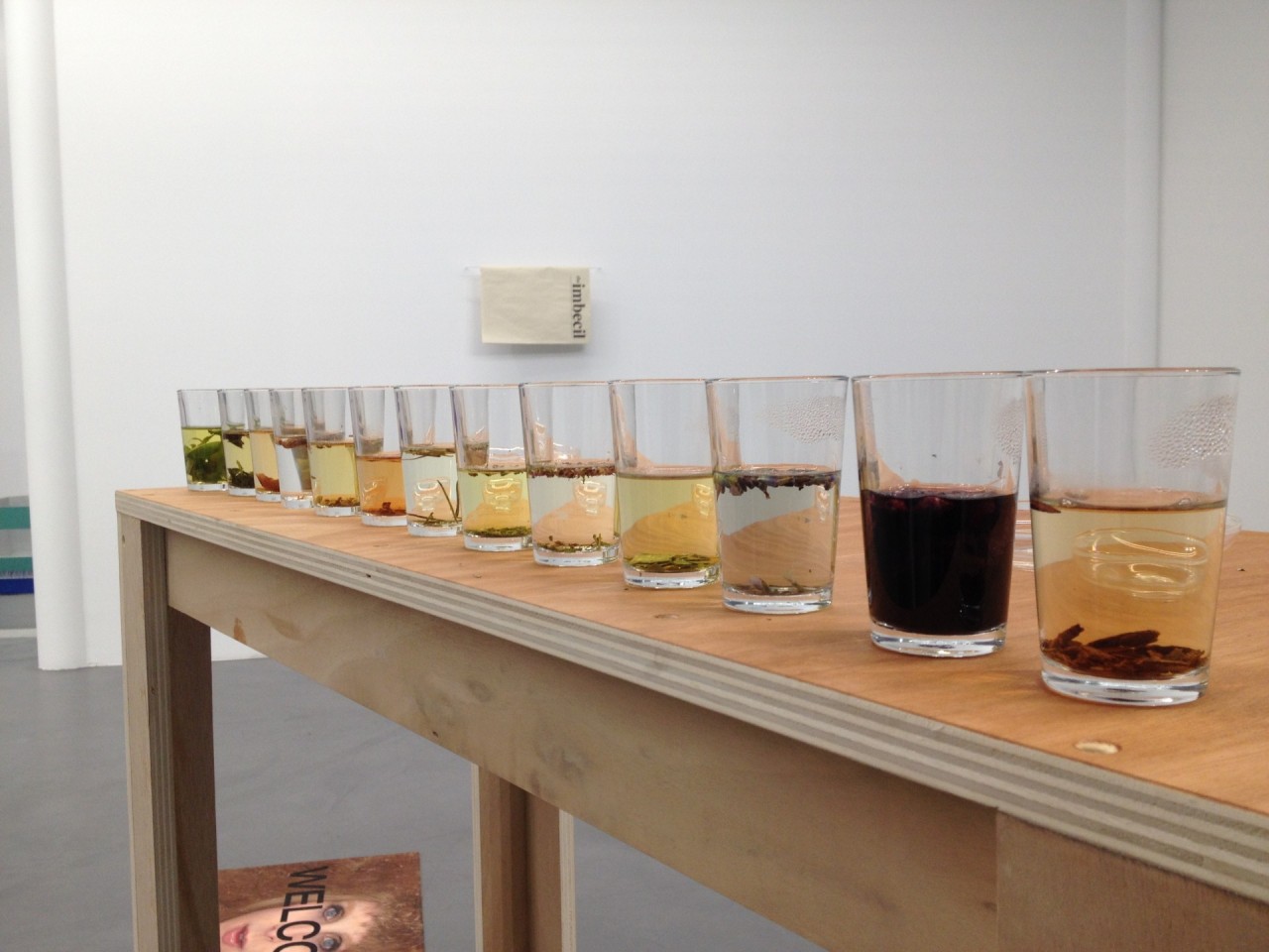 Géraldine Longueville, Les eaux - médiation, 2016