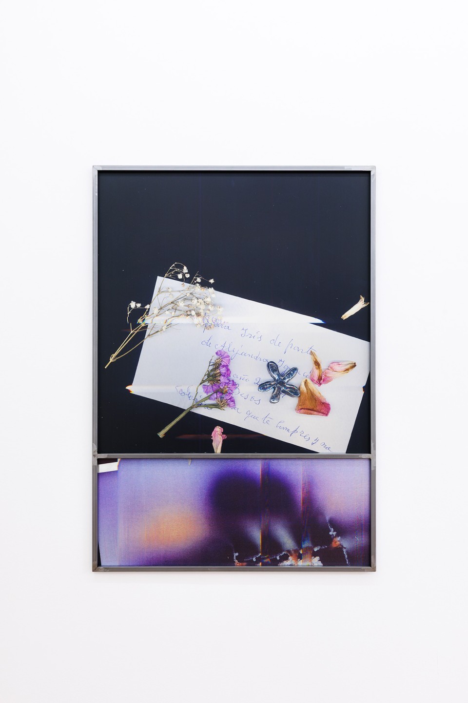 Camille Benarab-Lopez, Les fleurs 1, 2026