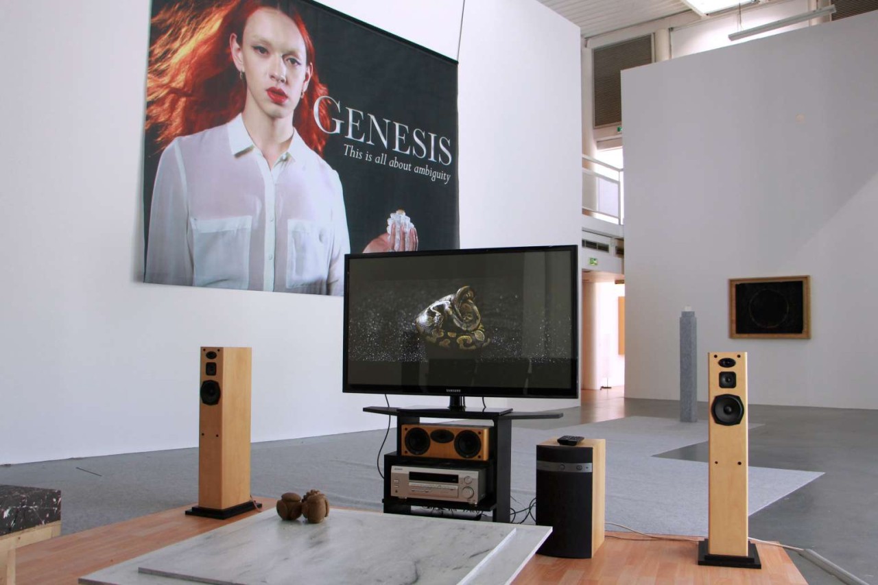 Tony Regazzoni, Living on Video, 2016