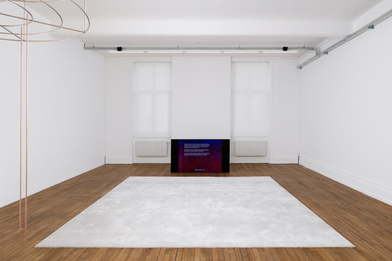 Pedro Barateiro, Love Song, 2022
