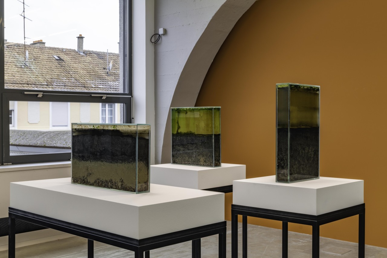 Anne Marie Maes, Microbial Life, 2023