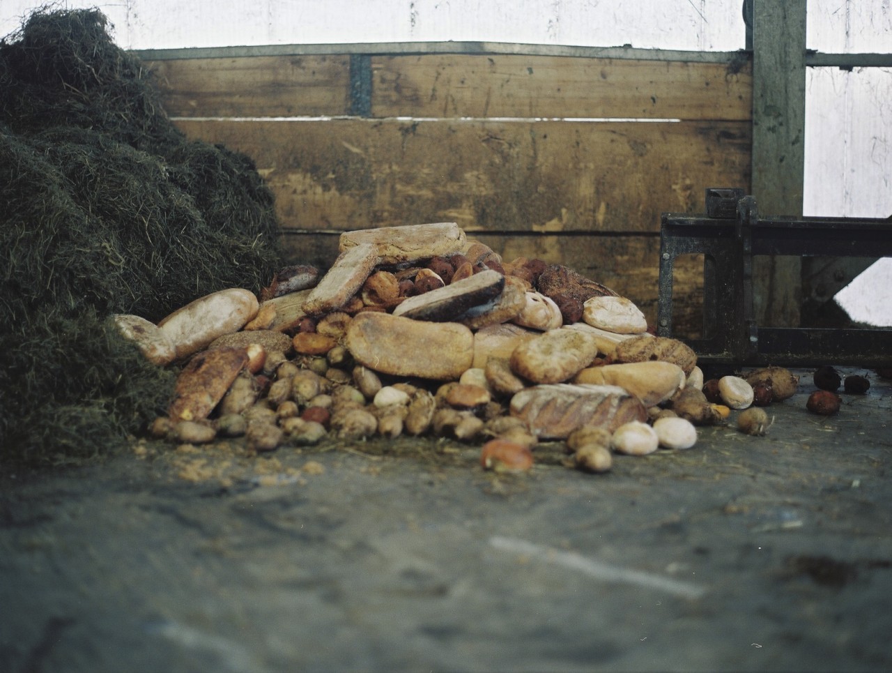 Gina Folly, Milk XXVI, 2024