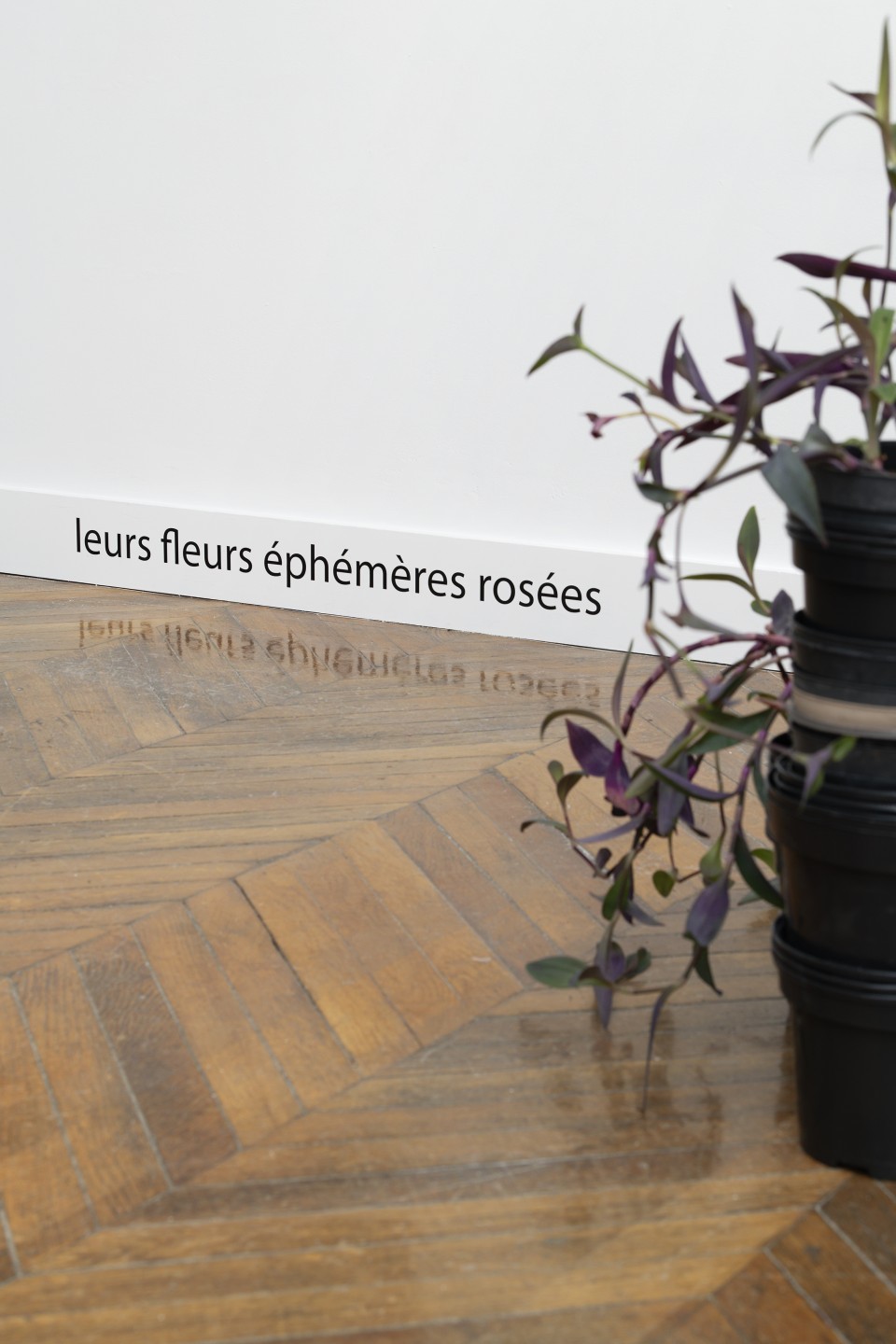 Marie Ouazzani & Nicolas Carrier (Marie Ouazzani, Nicolas Carrier), Misères pourpres, 2023