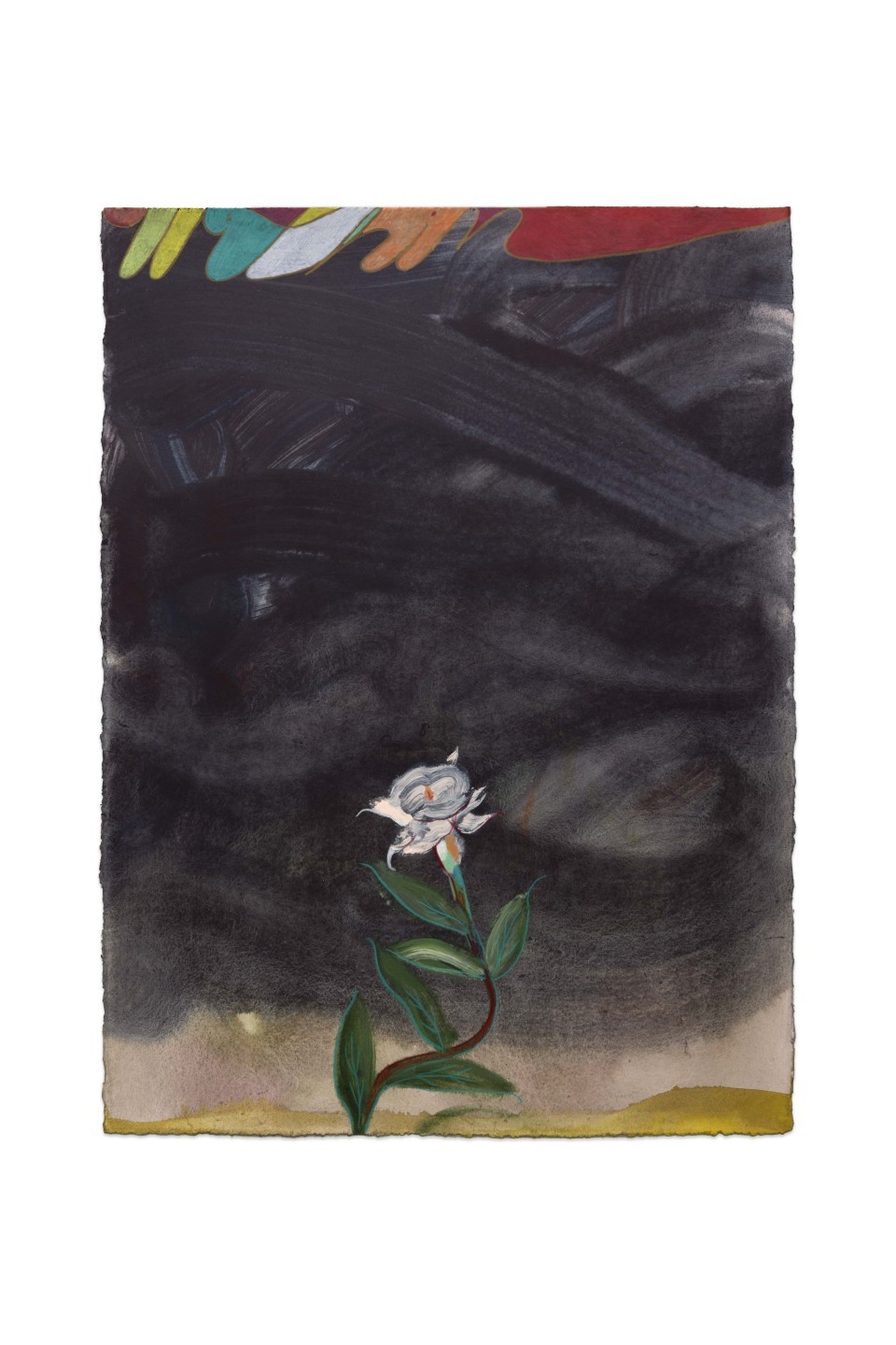 Anthony Cudahy, Moonflower (within) (12), 2024
