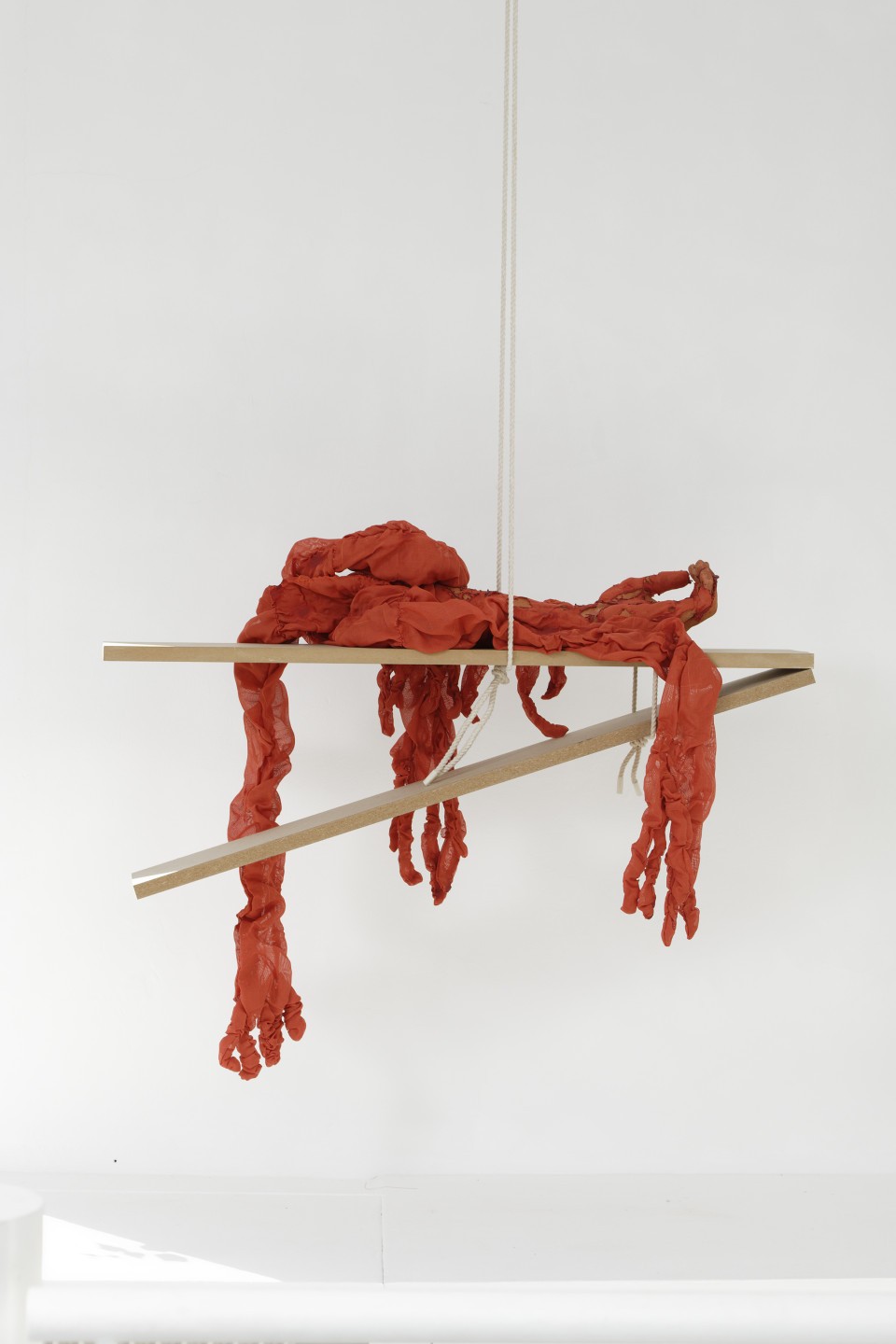 Patricia Belli, Muda 2, 2019