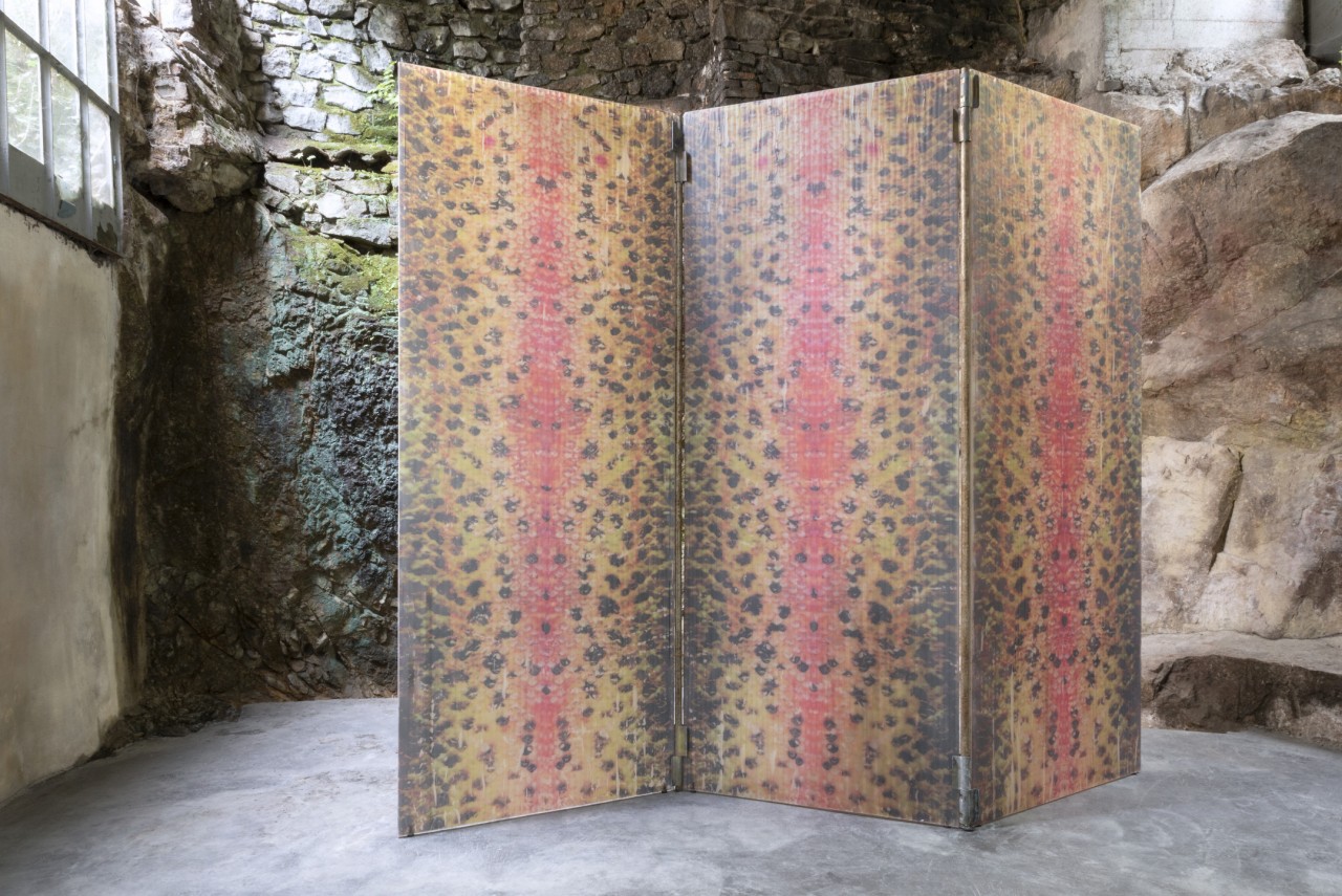 Bruno Silva, Mykiss, 2021, Le Creux de l'Enfer