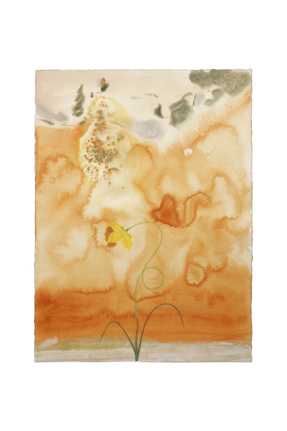 Anthony Cudahy, Narcissus and ocular migraine (9), 2024