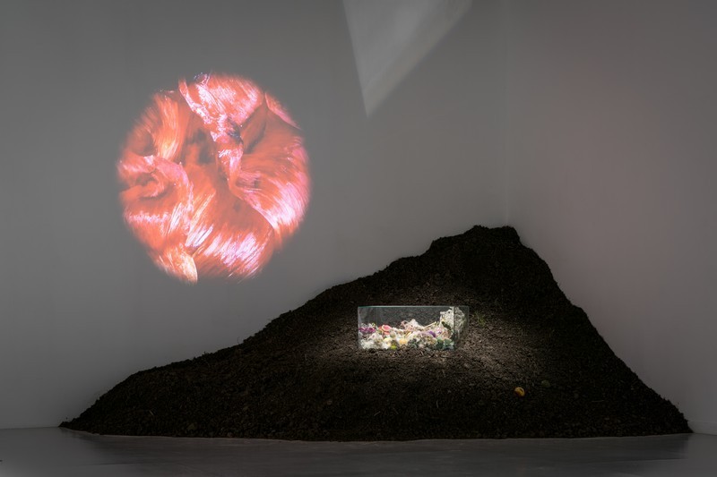 Tas de terre installé dans un angle, projection vidéo circulaire au mur et coffre en plexiglass contenant des matières végétales installé sur le tas