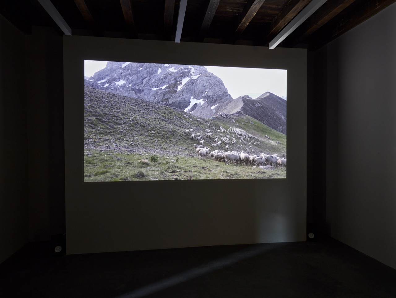 Radouan Zeghidour, Nebbia, 2024