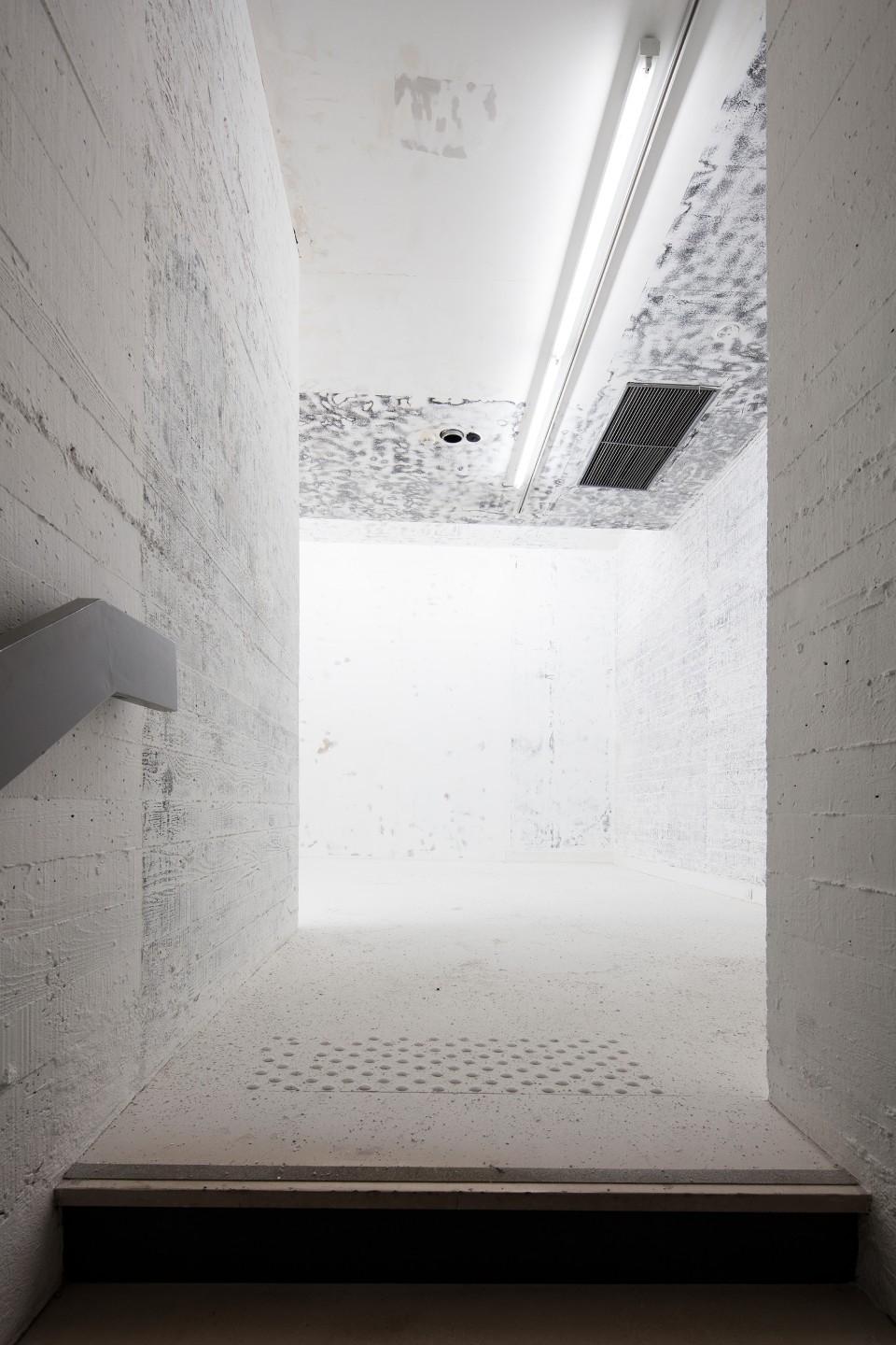 Amandine Ducrot, Neige, 2008–2017