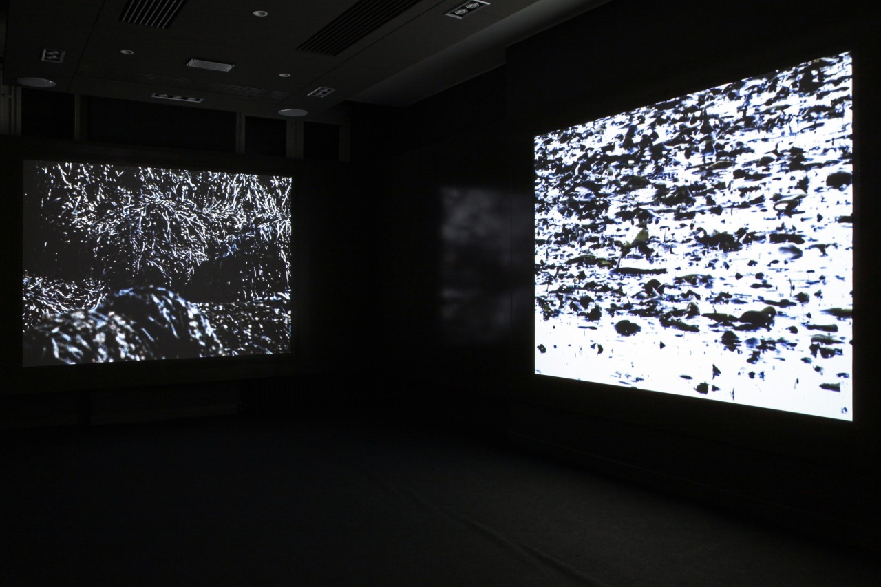 Anne-Charlotte Finel, Noir Goémon 1 & 2, 2019