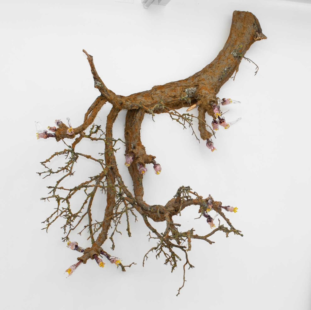 grande branche de pommier recouverte de terre et dotée de bourgeons en verre.