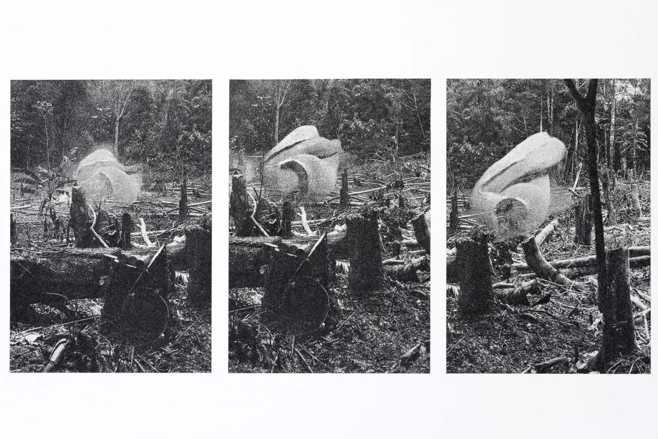 Daniel Steegmann Mangrané, Novos Estudios, 2015