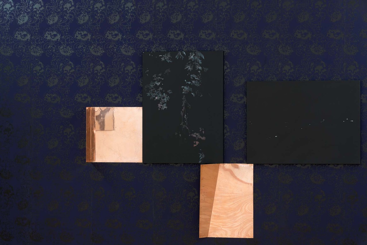 Anne Laure Sacriste, PAPIER PEINT “AFTER MORRIS”, 2016