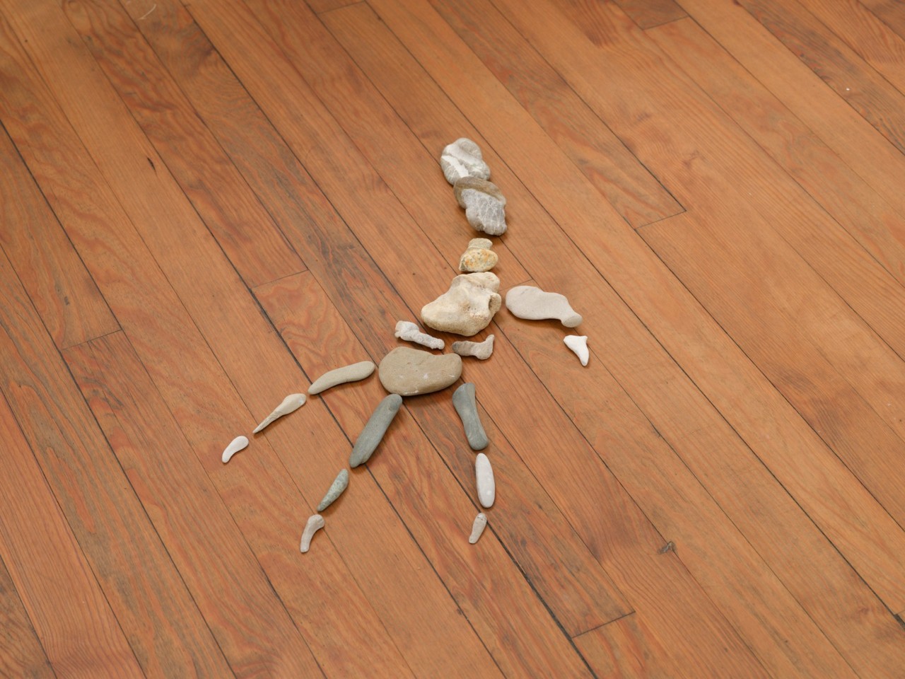 Caretto & Spagna, Patte tridactyle, 2025