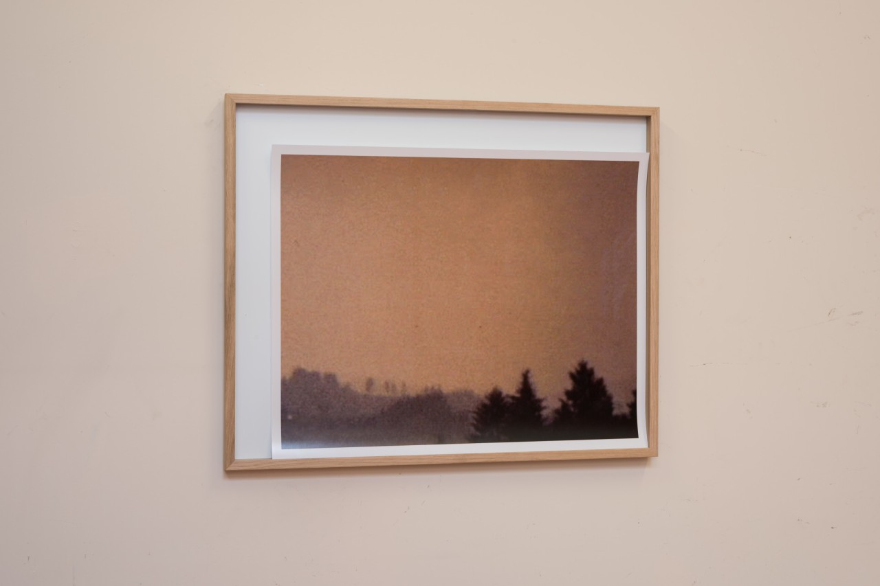 Maxime Bondu, Paysage de Pan #1, 2019
