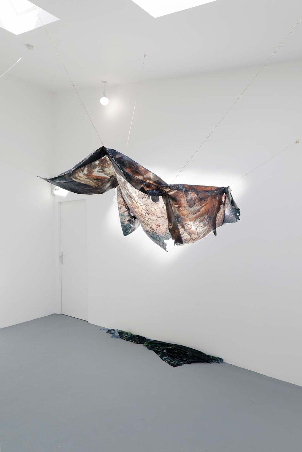 Gaëlle Choisne, Peaux de chagrin, 2016