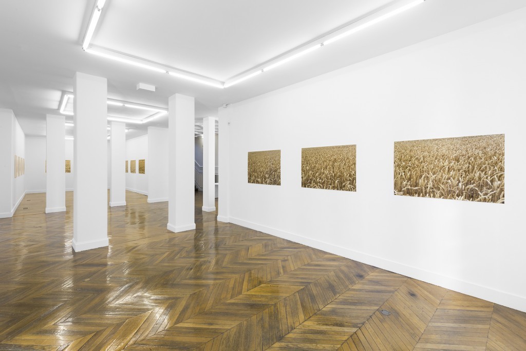 Pierre Joseph, Photographies sans fin : champ de blé 1 et 2, 2016
