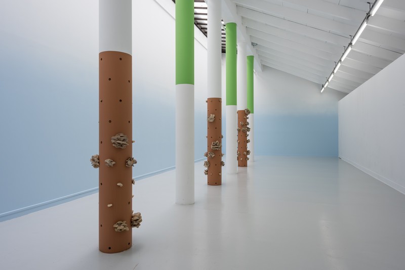 Jérôme Dupeyrat et Laurent Sfar, Pleutorus cornucopiæ, 2020-2021, production : La Ferme du Buisson, vue de l'exposition La Bibliothèque Grise - Ch. 4 : "Ojbets parlants", 2021