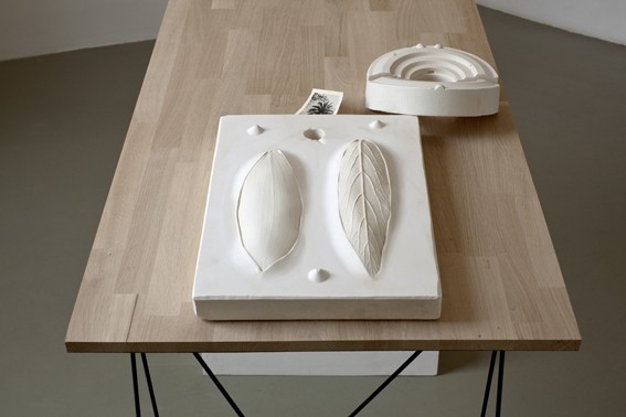 Thu Van Tran, Presse-Palmier, 2013