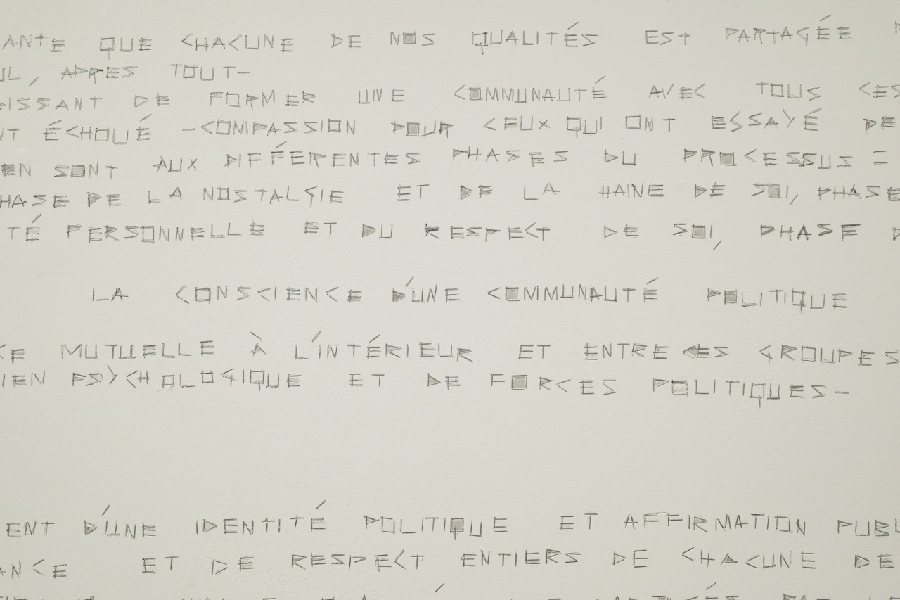 Charly Bechaimont, Quelques réflexions politiques  personnelles (d’après un texte d’Adrian Piper),, 2024