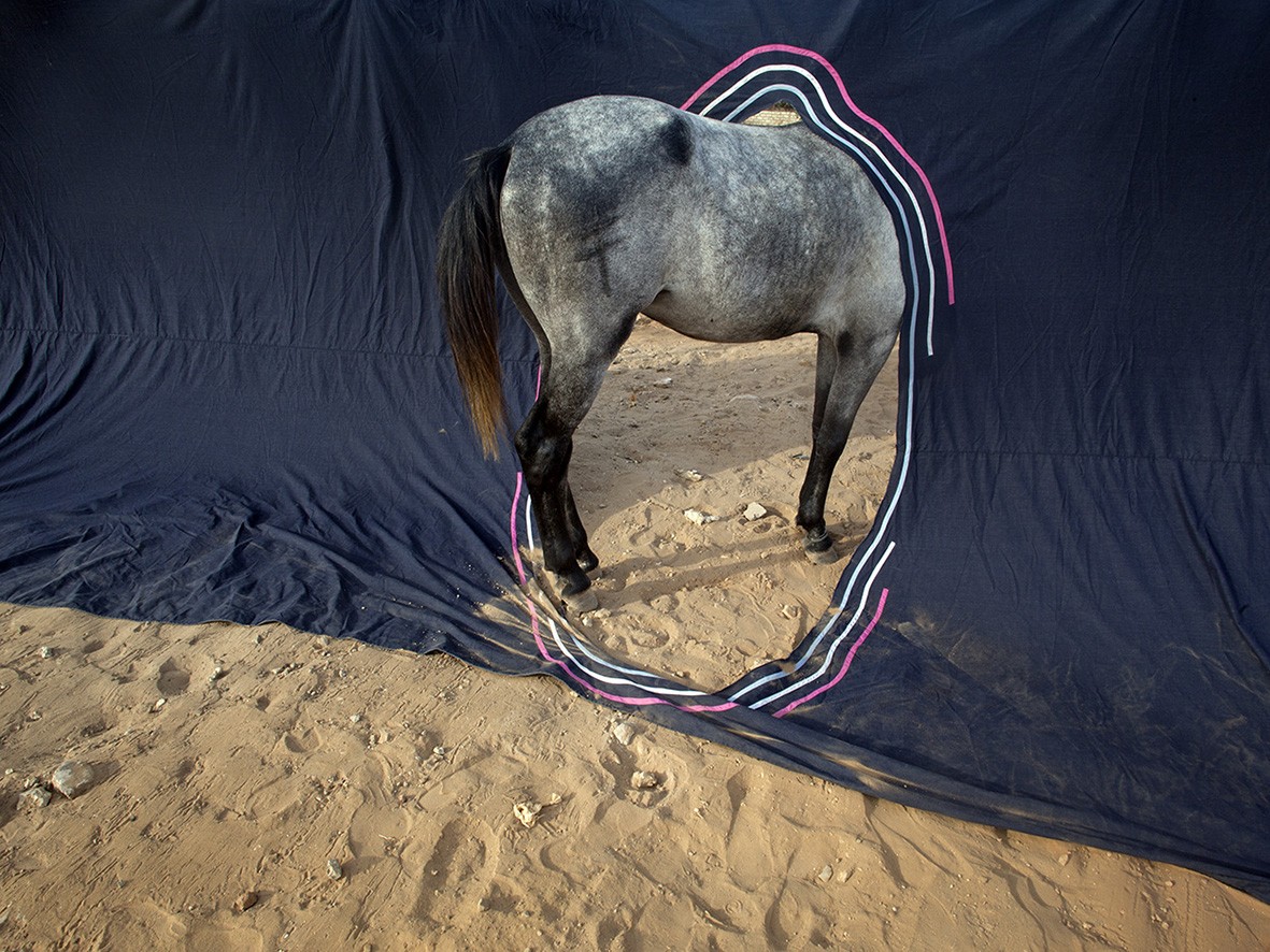 Delphine Gatinois, Quitter, 2015–2016