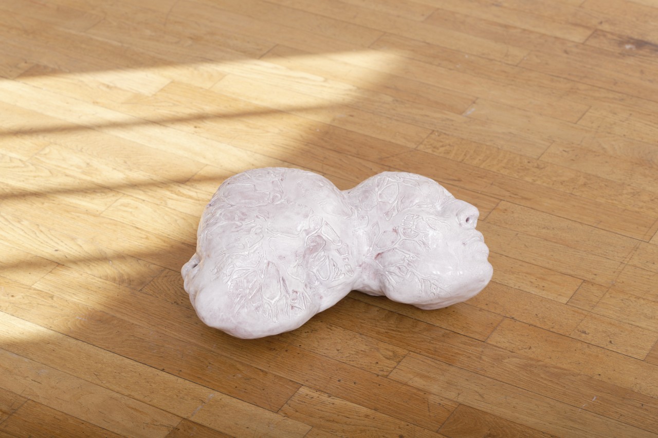 Patricia Belli, Raíces, 2019