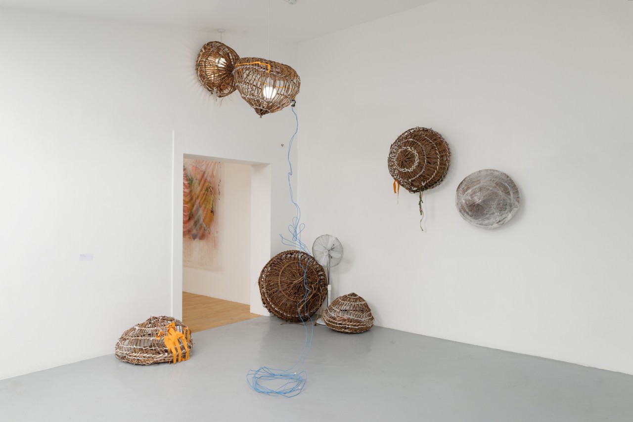 Ndidi Dike, Rattan Aerian, 2017