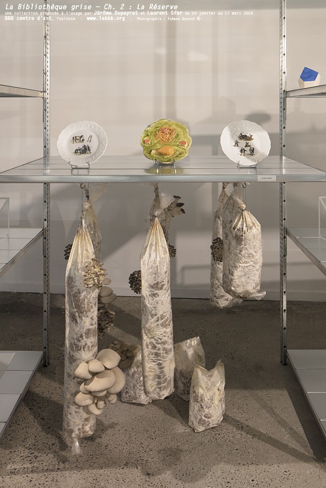 érôme Dupeyrat, Laurent Sfar et Eloïse Dubois, Rébus, 2017-2018. Vue de « La Bibliothèque Grise - Ch : 2 La Réserve », une collection proposée à l'usage par Jérôme Dupeyrat et Larent Sfar, BBB centre d'art, 2018.