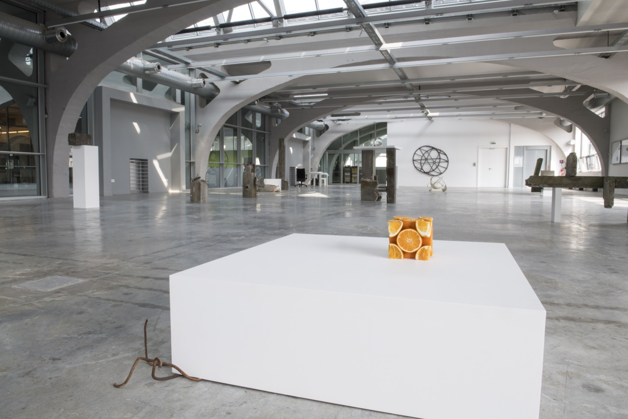 Étienne Chambaud, Récif (L’accrétion), 2018